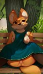 anthro areola biped breasts casual_exposure detailed_background female fur genitals humanoid_genitalia humanoid_pussy looking_up nipples orange_body orange_fur outside public public_exposure pussy smile solo spread_legs spreading sniffsnorf lucy_(sniffsnorf) canid canine fox mammal hi_res