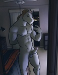 abs anthro balls bed biped cellphone detailed_background electronics erection facial_hair furniture genitals glans hair hand_behind_back humanoid_genitalia humanoid_penis hybrid_genitalia hybrid_penis male medial_ring medial_ringed_humanoid_penis medial_ringed_hybrid_penis mirror muscular muscular_anthro muscular_male night nude penis phone selfie smile solo bgn equid equine horse mammal