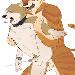 anal anal_penetration anthro balls blush bodily_fluids brown_body brown_fur clock collar cum cum_while_penetrated duo ejaculation erection eye_roll foreskin fur genital_fluids genitals grabbing_from_behind hand_behind_back holding_leg_up humanoid_genitalia humanoid_penis leg_grab male male/male male_penetrated male_penetrating male_penetrating_male multicolored_body navel nude one_leg_up open_mouth orange_body orange_fur pec_grab pecs penetration penile penile_penetration penis penis_in_ass pubes raised_leg retracted_foreskin saliva saliva_string sex simple_background standing standing_position three-quarter_view tongue tongue_out watch enveemve canid canine canis domestic_dog felid mammal pantherine tiger wolf 1:1 hi_res