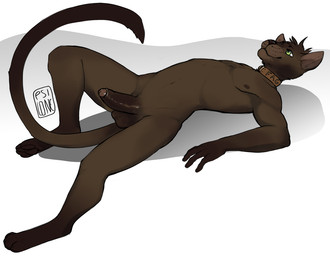 anthro balls brown_body brown_fur brown_penis collar collar_only erection foreskin fur genitals green_eyes humanoid_genitalia humanoid_penis lying male male_anthro nipples nude nude_anthro nude_male on_back pawpads penis solo tail i-psilone domestic_cat felid feline felis mammal 2018