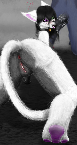 2_penises after_fellatio after_oral after_sex animal_genitalia animal_penis anthro anus barbed_canine_penis bell bell_collar big_penis black_hair black_nose bodily_fluids canine_genitalia canine_penis collar cum cum_drip cum_in_mouth cum_in_vagina cum_inside cum_on_face cum_on_penis detailed_fur dripping duo erection faceless_character faceless_male feet female foot_focus freckled_face freckles fur genital_fluids genital_markings genitals grey_background grey_body grey_freckles grey_fur hair heart_symbol heterochromia hindpaw hybrid_genitalia hybrid_penis inner_ear_fluff interspecies kneeling long_hair looking_at_genitalia looking_at_penis looking_pleasured male male/female markings multi_genitalia multi_penis multicolored_body navel nipples nude_anthro on_hind_legs origin pawpads paws penile_spines penis penis_markings pink_inner_ear pink_nipples purple_pawpads rear_focus rear_view saliva saliva_drip saliva_string simple_background spread_legs spreading tail teeth tuft two_tone_body vulva white_body white_fur white_inner_ear_fluff white_tail o9urec ivy_(anon1zurr8) niko_(anon1zurr8) canid canine domestic_cat felid feline felis fox mammal 2025 absurd_res detailed digital_drawing_(artwork) digital_media_(artwork) hi_res