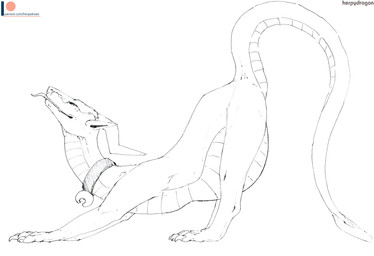 bell bell_collar big_stretch blep collar ears_back female feral horn horn_jewelry horn_ring jewelry pivoted_ears pregnant pregnant_female pregnant_feral raised_tail ring_(jewelry) simple_background solo spade_tail stretching tail text tongue tongue_out herpydragon mythology aurumesia_(character) dragon mythological_creature mythological_scalie scalie 2023 hi_res monochrome sketch url