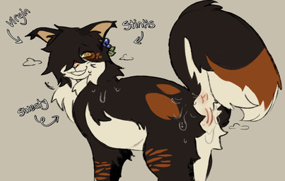 amber_eyes anus blush blush_lines bodily_fluids brown_body brown_fur female female_virgin feral freckles fur genitals musk orange_body orange_fur plant plant_in_hair smelly solo spiral spiral_eyes stated_virginity sweat sweaty_anus sweaty_genitalia sweaty_vulva tabby_stripes text virgin vulva wobbly_mouth y_anus anglwshot warriors_(book_series) spottedleaf_(warriors) domestic_cat felid feline felis mammal tortoiseshell_cat colored_sketch hi_res sketch