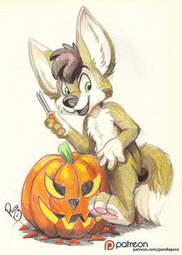 anthro brown_hair carving food fruit fur glistening glistening_eyes green_eyes hair logo male nude open_mouth open_smile patreon_logo plant pumpkin short_hair simple_background sitting smile solo tan_body tan_fur text white_background young young_anthro young_male pandapaco patreon canid canine mammal artist_logo signature url