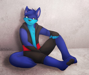 anthro blue_body blue_fur clothing countershading fur male multicolored_body multicolored_fur sitting solo two_tone_body two_tone_fur mytigertail canid canine fox mammal 2015 signature