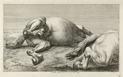 animal_genitalia anus big_anus corpse death duo equine_anus feral fur genitals hooves lying male male_feral nude_male on_side outside penis puffy_anus sheath sky spread_legs spreading tail jan_van_huchtenburg public_domain equid equine horse mammal absurd_res ancient_art hi_res
