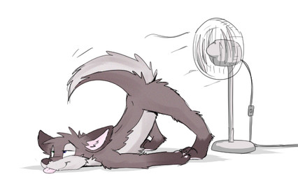 ambiguous_gender anthro ass_up blep brown_body brown_fur dipstick_ears ear_markings electric_fan fur gloves_(marking) half-closed_eyes head_tuft leg_markings markings multicolored_ears narrowed_eyes nude simple_background socks_(marking) solo tongue tongue_out tuft white_background wind zenonclaw canid canine canis fox hybrid mammal wolf
