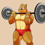 anthro briefs bulge clothing exercise holding_barbell holding_object male simple_background solo underwear weightlifting workout shiba-kenta kenta_shiba_(character) canid canine canis domestic_dog mammal shiba_inu spitz 1:1