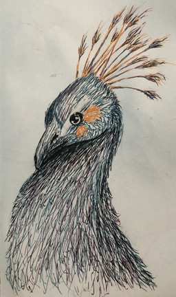 ambiguous_gender disembodied_head feathered_crest feathers head_crest solo don_frog. frogulus frog_(frogulus) avian bird galliform peafowl phasianid absurd_res hi_res