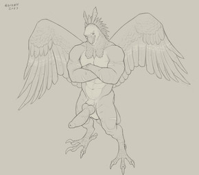 abs animal_genitalia animal_penis anthro balls beak canine_genitalia canine_penis crossed_arms feathered_wings feathers front_view genitals head_feathers knot looking_at_viewer male male_anthro mouth_closed muscular muscular_anthro muscular_male narrowed_eyes navel nude pecs penis simple_background solo standing tail tail_feathers wings aduran avian 2023 dated full-length_portrait hi_res monochrome portrait signature sketch