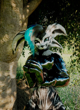 clothing detailed_background fluffy fur grass grass_field hair handwear latex latex_clothing latex_handwear latex_legwear latex_skinsuit legwear male plant pose skinsuit tight_clothing toony tree andy_avalox canid canine fox grey_fox mammal rexouium urocyon 3d_(artwork) absurd_res cinema_4d_(artwork) detailed digital_media_(artwork) hi_res