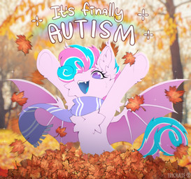 autism autumn autumn_leaves blue_hair feral fur hair male multicolored_hair photo_background pink_body pink_fur pink_hair plant purple_eyes purple_scarf rainbow scarf tree two_tone_hair trickate hasbro my_little_pony fan_character sweetie_swirl_(twilybutt) bat_pony equid mammal absurd_res hi_res photography_(artwork)