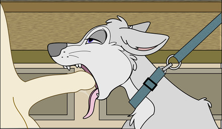 duo erection fellatio leash male master oral penile penis sex tongue unknown_artist canid canine canis domestic_dog mammal