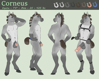 animal_genitalia animal_penis anthro athletic athletic_anthro athletic_male balls brown_hair countershade_torso countershading equine_genitalia equine_penis erection flaccid front_view fur genitals grey_body grey_fur hair hand_behind_head hand_on_hip hands_on_hips harness hooves male male_anthro mane medial_ring nipples nude nude_anthro nude_male penis rear_view sheath side_view simple_background solo standing tail themutt equid equine horse mammal 2017 5:4 model_sheet