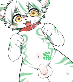 4_fingers anthro arm_markings arm_tuft balls biped black_nose blush blush_lines bodily_fluids cheek_tuft chest_markings collar collar_only elbow_tuft eyebrow_through_hair eyebrows facial_markings facial_tuft fangs fingers flaccid foreskin fur genitals glistening glistening_eyes green_eyebrows green_highlights green_markings hair head_markings highlights_(coloring) humanoid_genitalia humanoid_penis inner_ear_fluff legs_together looking_at_viewer male male_anthro markings mismatched_genitalia mismatched_humanoid_penis mismatched_penis navel nude nude_anthro nude_male open_mouth penis pink_inner_ear red_collar simple_background solo striped_legs stripes sweat teeth tongue translucent translucent_hair tuft unretracted_foreskin white_background white_balls white_body white_fur white_inner_ear_fluff white_penis yellow_eyes young young_anthro young_male oustella felid mammal 2026 digital_media_(artwork) hi_res