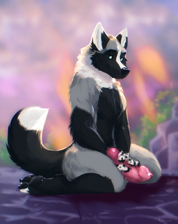 animal_genitalia animal_penis anthro black_body black_fur blue_eyes canine_genitalia canine_penis erection fur genitals grey_body grey_fur holding_penis knot looking_at_viewer male neck_tuft nude pawpads penis smile solo spotted_paws tail tuft kinsheph aske_(tsarfox64) canid canine fox mammal red_fox silver_fox true_fox 2026 absurd_res hi_res