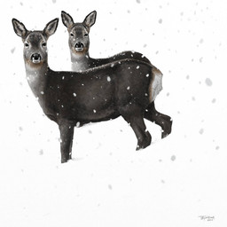 black_eyes black_nose duo feral fur grey_body grey_fur looking_at_viewer quadruped short_fur snow renum63 deer mammal new_world_deer roe_deer 1:1 2012 artrage_(artwork) digital_media_(artwork)