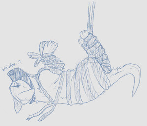 bdsm bondage bound feral forced muzzle_(object) muzzled questionable_consent restraints rope rope_bondage solo gaypaw canid canine canis domestic_dog mammal sketch