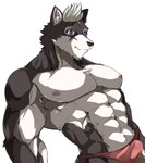 abs anthro biceps black_body black_fur blue_eyes clothing fur hair half_clothed male muscular muscular_anthro muscular_male nipples pecs simple_background smile solo thong underwear white_background white_body white_fur white_hair hayatohalada utau baion_urushi canid canine canis domestic_dog husky mammal nordic_sled_dog spitz hi_res