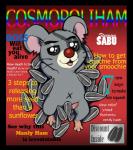 balls black_border border genitals humor looking_at_viewer magazine male navel open_mouth parody penis pun solo sunflower_seed text nivy_(artist) cosmopolitan_(magazine) hamtaro_(series) sabu_(hamtaro) cricetid hamster mammal rodent cover english_text hi_res magazine_cover