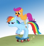 angry blue_body blue_feathers blue_fur cutie_mark duo feathered_wings feathers female feral fur hair multicolored_hair multicolored_tail poison_joke rainbow_hair rainbow_tail scooter tail what wings young young_feral ohthatandy friendship_is_magic hasbro my_little_pony mythology rainbow_dash_(mlp) scootaloo_(mlp) avian bird chicken equid equine galliform gallus_(genus) mammal mythological_creature mythological_equine pegasus phasianid