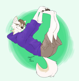 anthro clothing eyewear fluffy glasses holding_feet hoodie khaki_shorts khakis looking_at_viewer lying male on_back pawpads paws scruffy solo tail topwear yogoat sabbyth canid canine canis mammal wolf hi_res