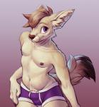 anthro briefs brown_hair bulge claws clothing detailed_bulge dipstick_tail fur hair inner_ear_fluff looking_at_viewer male markings multicolored_tail navel nipples pink_eyes pose simple_background smile solo standing tail tail_markings tan_body tan_fur tuft underwear eracin canid canine fennec_fox fox mammal true_fox 2018 hi_res pinup