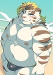 anthro beach belly big_belly blush bulge clothing cute_fangs fangs fur humanoid_hands kemono male moobs nipples outside overweight overweight_anthro overweight_male seaside solo standing swimwear teeth water white_body white_fur ptcmtr lifewonders tokyo_afterschool_summoners licho_(tas) felid mammal pantherine tiger 2021 absurd_res hi_res portrait three-quarter_portrait