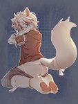 4_toes anthro blue_eyes butt clothing feet kemono kneeling looking_at_viewer male pawpads shirt simple_background solo toes topwear young young_anthro young_male ningning canid mammal 3:4 hi_res