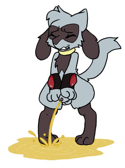 animal_genitalia animal_penis anthro balls bodily_fluids canine_genitalia canine_penis embarrassed genital_fluids genitals male nude omorashi peeing penis sheath simple_background solo standing urine watersports white_background spikedcollar_(artist) nintendo pokemon generation_4_pokemon pokemon_(species) riolu absurd_res hi_res