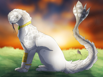 accessory ambiguous_gender bracelet calm feathers female feral fluffy fluffy_tail forked_tongue fur gem grass grey_body grey_eyes grey_feathers grey_fur grey_scales jewelry looking_at_viewer necklace outside plant pupils quadruped scales simple_background sky slit_pupils solo sunset tail tongue tongue_out tuft white_body white_fur white_scales elleluieux pandore heiwa avorans domestic_cat felid feline felis hybrid mammal reptile scalie snake 2018 4:3 digital_drawing_(artwork) digital_media_(artwork) hi_res