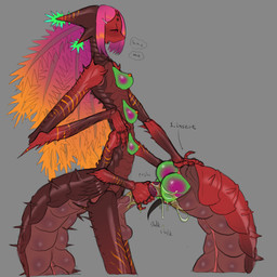 4_arms 6_breasts anthro arthropod_abdomen autopenetration breasts exoskeleton genitals herm intersex masturbation multi_arm multi_breast multi_limb nude penetration penis shlick solo thecore34 coreverse tomo_(core34) arthropod humanoid 1:1 hi_res