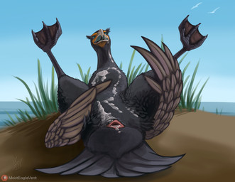 after_cloacal after_sex ambiguous_gender animal_genitalia avian_butt avian_feet beak bodily_fluids butt cloaca cum cum_in_cloaca cum_in_mouth cum_inside cum_on_body cum_on_chest cum_on_face cum_on_self feathers feet feral genital_fluids genitals grass leaking_cum looking_up low-angle_view lying membrane_(anatomy) on_back outside plant presenting presenting_cloaca presenting_hindquarters sand sea simple_background solo spread_legs spreading tail tail_feathers toes water webbed_feet wings pornithologist avian bird cormorant suliform 2021 shaded signature female_(lore)