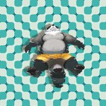 anthro belly big_belly black_nose bottomwear clothing grey_body kemono lying male moobs optical_illusion overweight overweight_male shorts solo swimwear water racoonwolf mammal procyonid raccoon 2024 absurd_res hi_res