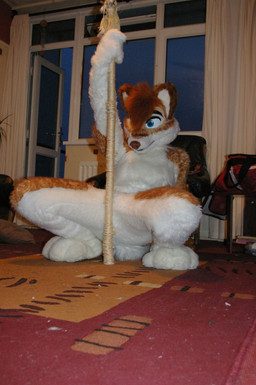 ambiguous_gender anthro backpack clothing costume crouching dancing fursuit looking_at_viewer open_door pillow pole pole_dancing real solo unknown_artist canid canine canis domestic_dog mammal grandfathered_content