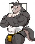 anthro big_muscles biped bodily_fluids bulge clothing jockstrap looking_at_viewer male male_anthro muscular muscular_anthro muscular_male pecs scar shirt smile solo sweat tank_top topwear underwear darknaigart canid canine canis mammal wolf hi_res