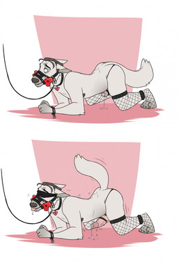 3_toes 4_fingers all_fours animal_genitalia animal_penis anthro bdsm blep blindfold bodily_fluids bondage bone_gag bound canine_genitalia canine_penis chastity_cage chastity_device clothing collar cuff_(restraint) erection feet fingers fishnet_clothing fishnet_legwear fur gag gagged genital_fluids genitals hair handcuffs knot leaking_precum leash leashed_collar legwear male metal_cuffs middle_aged mostly_nude muzzle_(object) muzzled nipples over_sheath_chastity_cage penis precum raised_tail restraints sensory_deprivation sheath sheath_chastity_cage simple_background solo tail toes tongue tongue_out underwear white_background cadaverrdog howie_(cadaverrdog) canid canine canis domestic_dog german_shepherd herding_dog mammal pastoral_dog 2016 hi_res