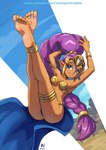 anklet armlet blue_eyes bracelet braided_hair braided_ponytail breasts choker crown ear_piercing eyebrows eyelashes feet female hair headgear humanoid_pointy_ears jewelry long_hair looking_at_viewer necklace not_furry piercing pointy_ears ponytail purple_hair smile solo thighlet tiara maxa-art shantae_(series) wayforward shantae genie humanoid 2025