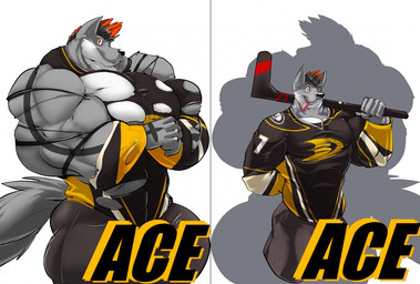 anthro badge big_muscles bottomwear clothing countershading crossed_arms fangs fur grin hair hockey_stick holding_object huge_muscles hyper hyper_muscles looking_at_viewer male multicolored_body multicolored_fur multicolored_hair muscular muscular_anthro muscular_male pants red_eyes shirt smile solo teeth text tongue tongue_out topwear torn_clothing white_body white_countershading fierglief swaggy canid canine canis mammal wolf 2015
