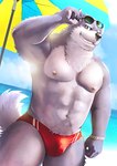 5_fingers anthro beach black_claws bulge claws clothing fingers fur grey_body grey_fur humanoid_hands male muscular muscular_anthro muscular_male nipples red_clothing red_eyes red_speedo red_swimwear solo speedo swimwear kemokemumaki canid mammal 2022 colored