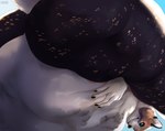 ambiguous_gender ambiguous_pred ambiguous_prey anthro anthro_pred belly big_belly big_butt black_body black_claws black_fur black_nose blue_eyes brown_body brown_fur butt claws duo fur huge_belly huge_butt mouth_closed nude paw_imprint solo_focus text vore white_body white_fur yellow_sclera roobin muffin_the_corgi canid canine canis domestic_dog herding_dog mammal pastoral_dog welsh_corgi artist_name hi_res