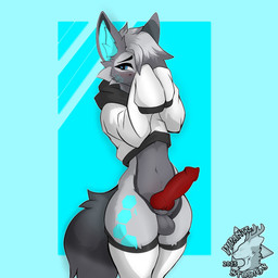 animal_genitalia animal_penis anthro balls canine_genitalia canine_penis cybernetics erection femboy genitals knot knotted_penis machine male penis shy solo vivante specter_(dragonplayer) arctic_fox canid canine fox mammal true_fox 1:1 absurd_res hi_res
