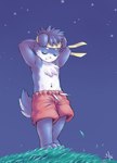 anthro blue_body bottomwear canid canine canis clothing domestic_dog eyes_closed fffffolder grass hair male mammal multicolored_body navel night paws plant pose shirtless_male shorts sky smile solo standing young young_anthro young_male