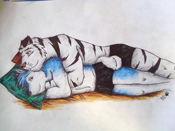 anthro bed black_body black_fur black_stripes blue_body blue_fur blue_hair clothed clothing cuddling duo fur furniture hair leucistic lying male male/male multicolored_body multicolored_fur on_bed on_side pillow simple_background smile spooning stripes topless two_tone_body two_tone_fur underwear white_background white_body white_fur year blackheart_mx canid canine canis felid mammal pantherine tiger wolf 2009 4:3 traditional_media_(artwork) wallpaper