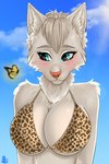 anthro clothing duo female fluffy fur solo_focus spots sun swimwear polly-lolly arthropod butterfly domestic_cat felid feline felis insect lepidopteran mammal hi_res