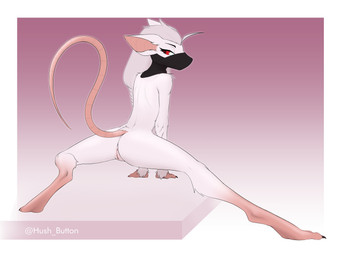 anthro biped black_eyebrows black_mask border claws digitigrade eyebrows eyelashes feet female female_anthro finger_claws fingers flexible fur genitals gradient_background grey_hair hair hairless_tail humanoid_genitalia humanoid_vulva long_hair long_tail looking_back mask mask_only nude nude_anthro nude_female pink_feet pink_hands pink_inner_ear pink_tail pose pupils purple_background raised_tail rear_view red_eyes simple_background skinny skinny_anthro skinny_female slim slim_anthro slim_female solo spread_legs spreading tail toe_claws vulva wearing_mask white_background white_body white_border white_fur white_sclera mrbuttonboi ava_(soren_howlson) mammal murid murine rat rodent absurd_res full-length_portrait hi_res pinup portrait