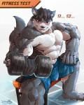 5_fingers abs anthro bicep_curl biceps big_muscles biped black_hair black_nose blue_bottomwear blue_clothing bodily_fluids bottomwear bulge chest_tuft clothed clothing dialogue dumbbell exercise eyewear fangs fingers fur glasses grey_body grey_fur grey_hair grey_tail hair male muscular muscular_anthro muscular_male pecs red_eyes shorts sitting solo sweat tail teeth text topless tuft weight_bench weightlifting weights white_body white_fur workout waddledox canid canine canis mammal wolf english_text hi_res