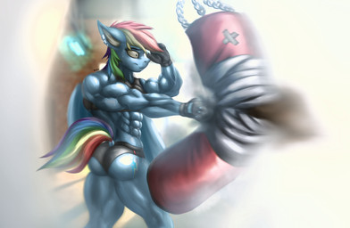 abs anthro athletic_wear bodily_fluids bottomwear boxing bra butt clothing cutie_mark ear_piercing exercise female gym gym_bottomwear gym_shorts inner_ear_fluff muscular muscular_anthro muscular_female muscular_thighs piercing punch punching_bag shorts solo sport sports_bra sweat tuft underwear wings workout rizzyofen friendship_is_magic hasbro my_little_pony mythology rainbow_dash_(mlp) equid equine horse mammal mythological_creature mythological_equine pegasus pony hi_res