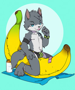 anthro black_clothing black_jockstrap black_underwear clothing fur grey_body grey_fur jockstrap looking_at_viewer male shota solo underwear young young_anthro young_male oouyuki_benten canid canine canis mammal wolf 2017 5:6