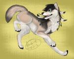 blue_eyes brown_body brown_fur brown_hair claws dreadlocks feathers feral fur grey_body grey_fur hair happy long_hair male pawpads paws playful smile solo white_body white_fur hashire telkop canid canine canis mammal wolf 5:4